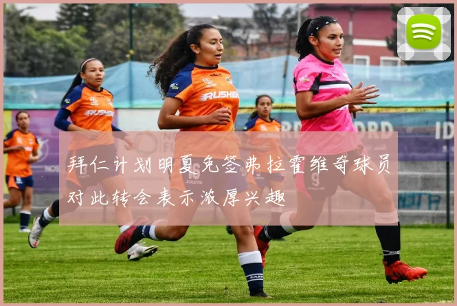 拜仁计划明夏免签弗拉霍维奇球员对此转会表示浓厚兴趣