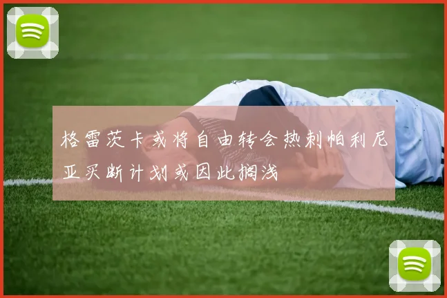 格雷茨卡或将自由转会热刺帕利尼亚买断计划或因此搁浅