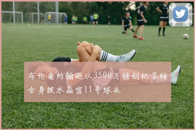 布伦南约翰逊以3500万镑创纪录转会身披水晶宫11号球衣