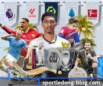 乐动体育 APP（LDSPORTS）